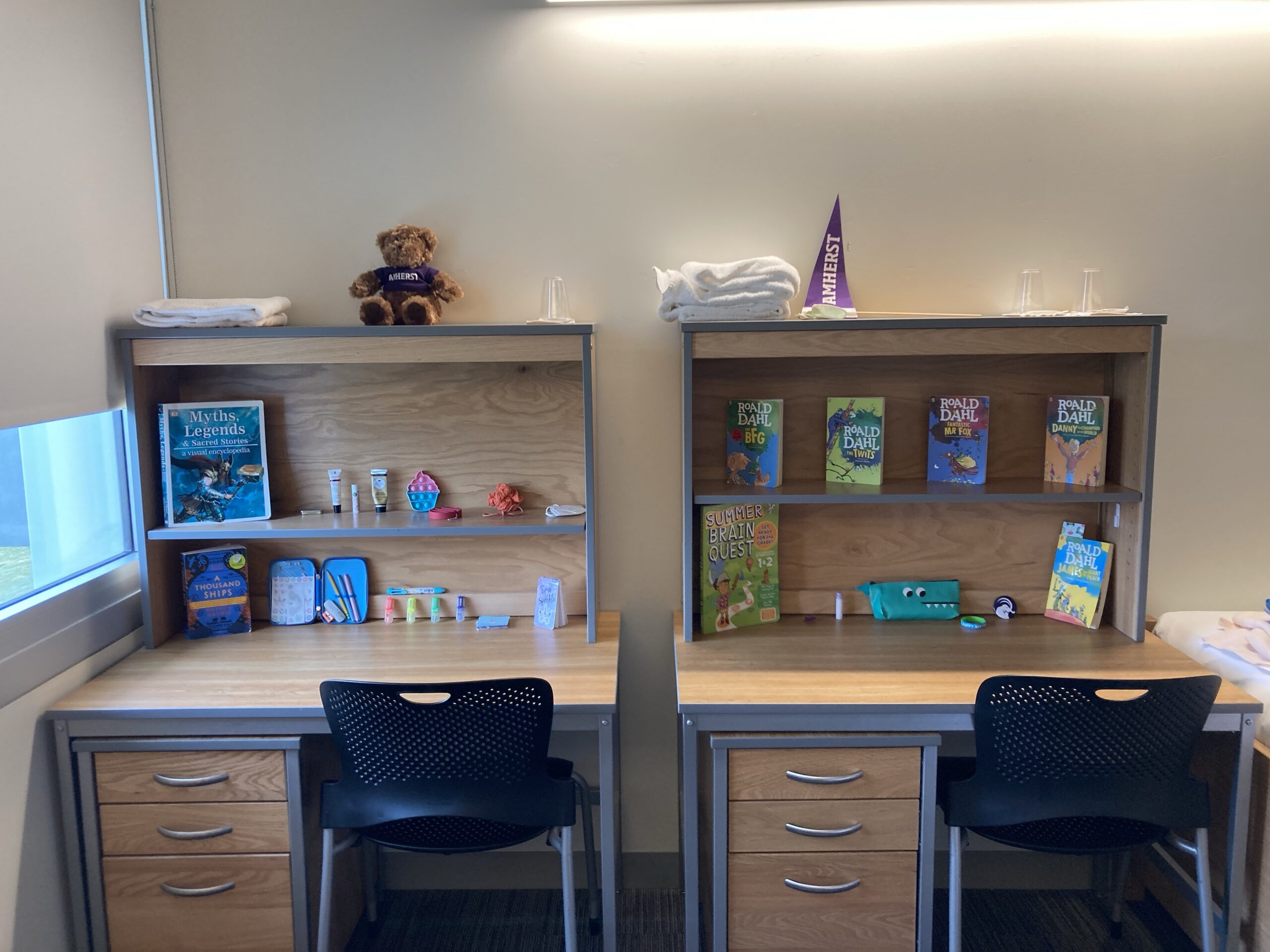 A pair of desks decorated with various books and tchotchkes, neatly arranged.